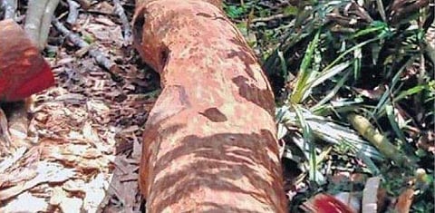 ഫയല് ചിത്രം