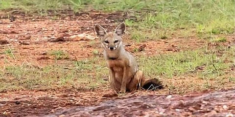 ഫയല് ചിത്രം
