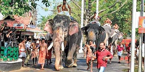 ഗുരുവായൂര് ആനയോട്ടം/ഫയല്
