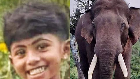 കാട്ടാനയുടെ ആക്രമണത്തില് മരിച്ച അഞ്ചു വയസുകാരി ആഗ്നിമിയ