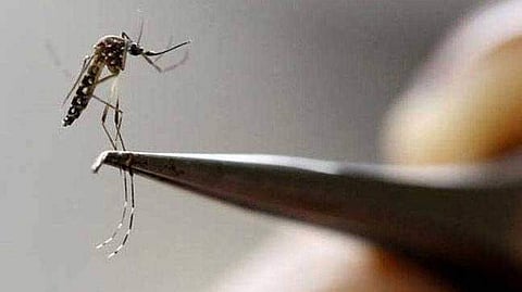 പ്രതീകാത്മക ചിത്രം