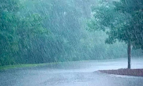 ചിത്രം: ജില്ലാ ഇന്ഫര്മേഷന് ഓഫീസ്