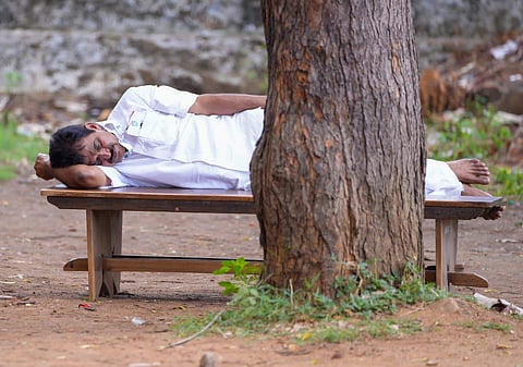 കെസി വേണുഗോപാല് മരത്തണലിലെ ബെഞ്ചില് വിശ്രമിക്കുന്നു/ട്വിറ്റര്