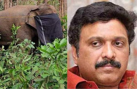 പിടി സെവനെ പിടിച്ചപ്പോൾ, ഗണേഷ് കുമാർ/ ഫയൽ ചിത്രം
