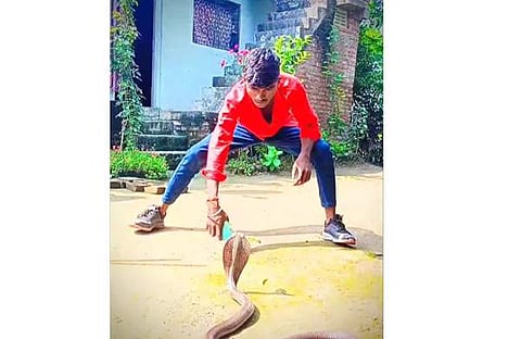 മൂര്ഖന്റെ മുന്നില് ഡാന്സ് കളിക്കുന്ന യുവാവിന്റെ ദൃശ്യം