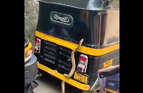 ഓട്ടോയുടെ മുകളിലേക്ക് കയറാന് ശ്രമിക്കുന്ന പാമ്പിന്റെ ദൃശ്യം