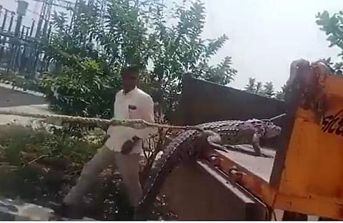 പിടികൂടിയ മുതലയുമായി കര്ഷകര്