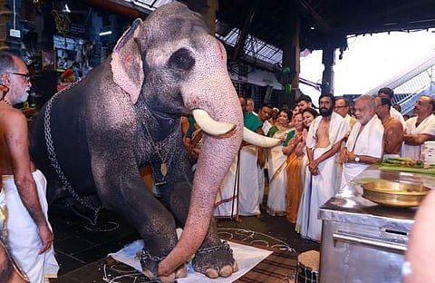 ഗുരുവായൂരിൽ ആനയെ നടയിരുത്തിയപ്പോൾ