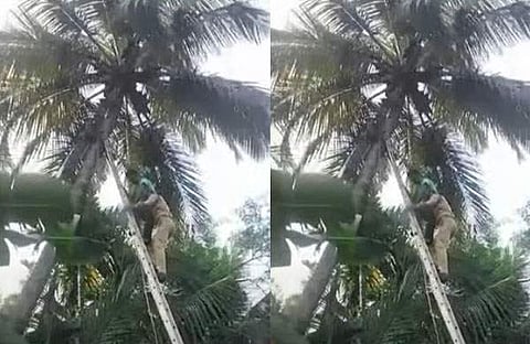 വീഡിയോ ദൃശ്യം