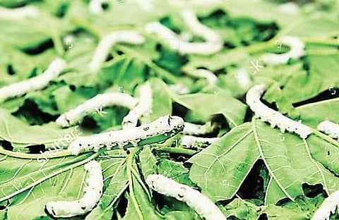 ഫയല് ചിത്രം
