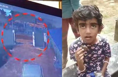 സിസിടിവി ദൃശ്യം, അബിഗേൽ/ ടിവി ദൃശ്യം
