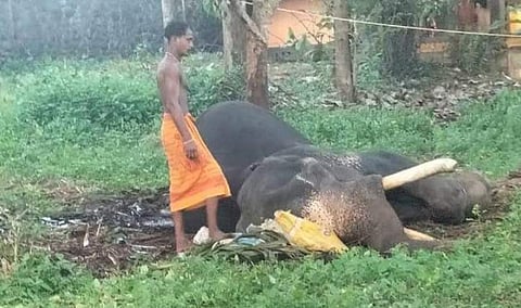 ചരിഞ്ഞ വെട്ടിക്കാട്ട് രാമചന്ദ്രന്