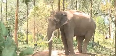 ഫയല് ചിത്രം
