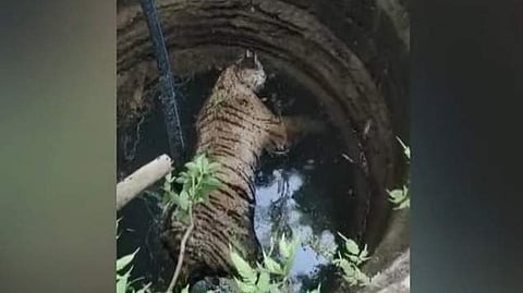 ടെലിവിഷൻ ദൃശ്യം