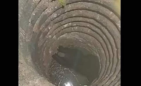 കിണറ്റിൽ കരടി വീണ നിലയിൽ, സ്ക്രീൻഷോട്ട്