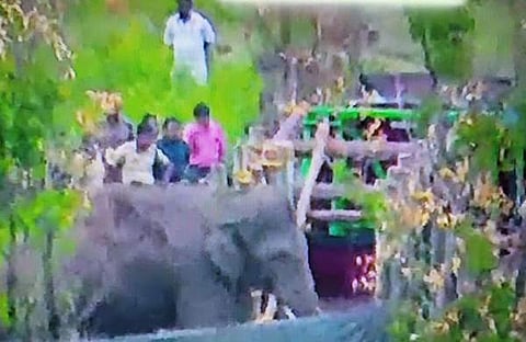 അരിക്കൊമ്പനെ ലോറിയില് കയറ്റുന്ന ദൃശ്യം, ട്വിറ്റര്