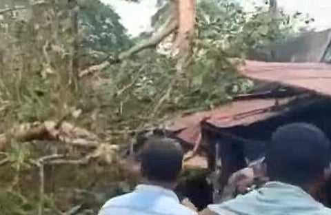 അടൂരില് കനത്തമഴയില് മരം ഒടിഞ്ഞുവീണ നിലയില്, സ്ക്രീന്ഷോട്ട്