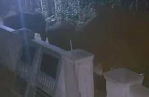 കാട്ടാനക്കൂട്ടം ജനവാസകേന്ദ്രത്തില്, സ്ക്രീന്ഷോട്ട്