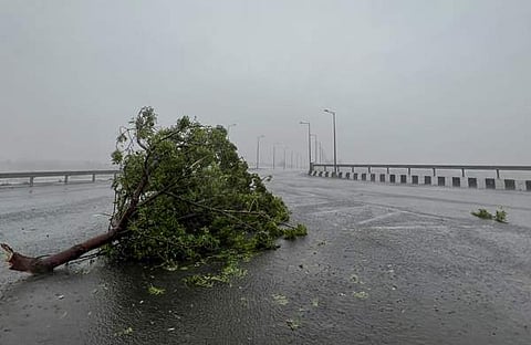 ഗുജറാത്തില് ചുഴലിക്കാറ്റില് മരം കടപുഴകിയ നിലയില്, പിടിഐ
