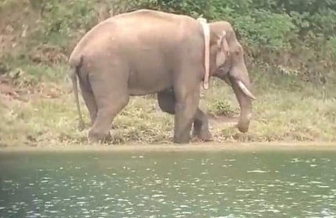 വീഡിയോ ദൃശ്യത്തില് നിന്ന്