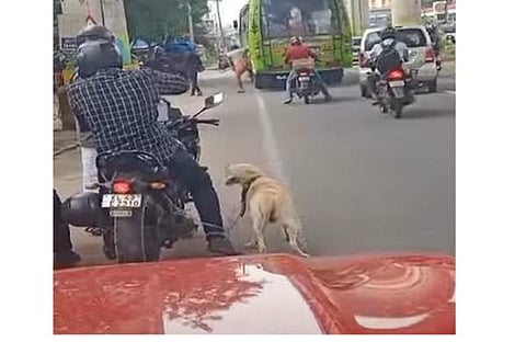 ബൈക്കിന്റെ പിന്നില് നായയെ കെട്ടിവലിക്കുന്ന ദൃശ്യം, സ്ക്രീന്ഷോട്ട്