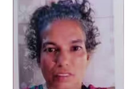 മിനി