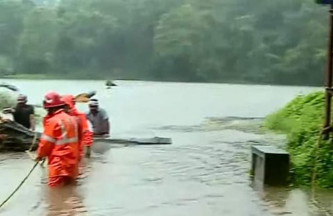 ശക്തമായ മഴയില് വീണ മരം മുറിച്ചുമാറ്റുന്നു