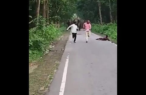 കാട്ടാനക്കൂട്ടത്തിന്റെ ആക്രമണത്തില് നിന്ന് രക്ഷപ്പെടാന് ഓടുന്നതിനിടെ യുവാവ് റോഡില് വീഴുന്ന ദൃശ്യം