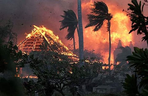 ഫോട്ടോ: ട്വിറ്റർ