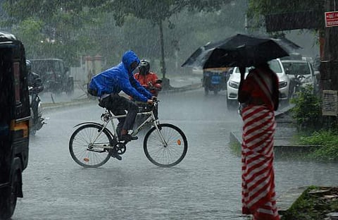 ഫയൽ ചിത്രം: ടി പി സൂരജ്