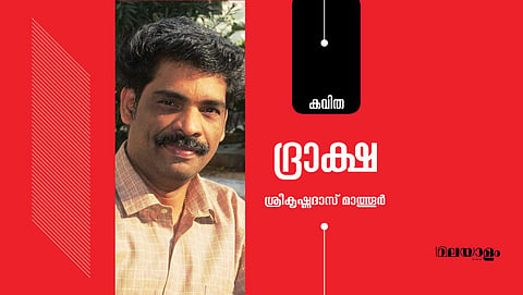 'ദ്രാക്ഷ'- ശ്രീകൃഷ്ണദാസ് മാത്തൂര് എഴുതിയ കവിത