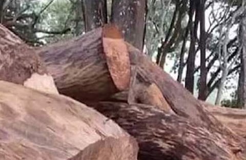 ഫയല് ചിത്രം