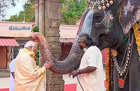 മോദി ശ്രീരംഗം രംഗനാഥ സ്വാമി ക്ഷേത്രത്തിൽ/ പിടിഐ