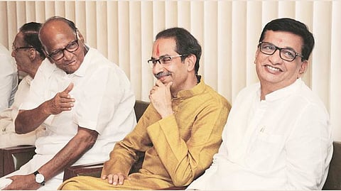 Bullock Cart Race and good news for Thackeray government