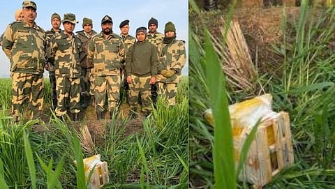 bsf punjab