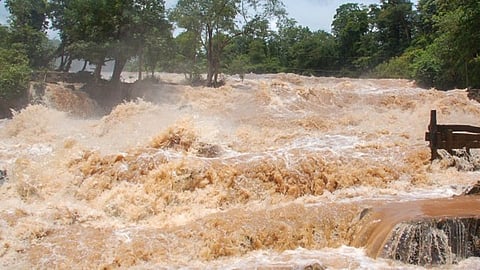 Flood