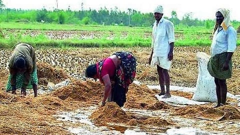 maharashtra government compensation of farmers