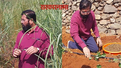 CM Eknath Shinde Latest News