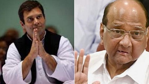 Sharad Pawar : Rahul Gandhi