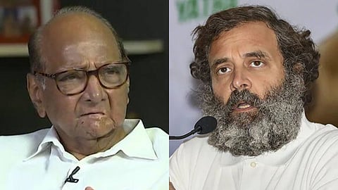 Sharad Pawar On Rahul Gandhi :