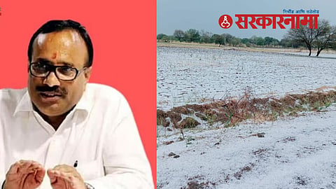 Guardian Minister Atul Save News, Beed