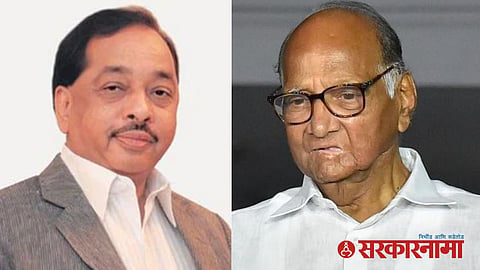 Narayan Rane On Sharad Pawar Resigns :