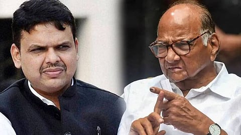 Sharad Pawar on Devendra Fadnavis