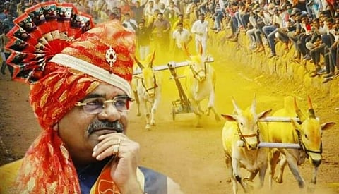 Shivajirao Adhalrao Patil on Bullock Cart Race Permission :