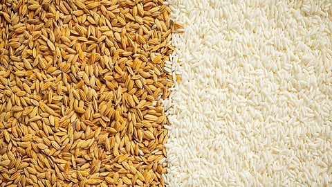 Free Ration News :