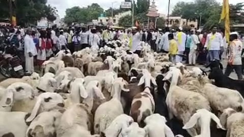 Dhangar Aarakshan