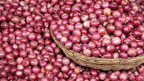 Onion Expoet Duty :