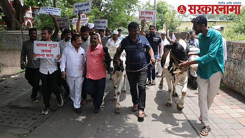 Sharad Pawar NCP Protest