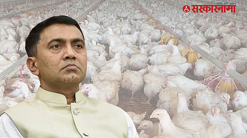 CM Pramod Sawant | Poultry