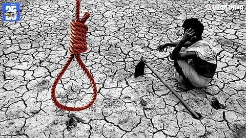 Farmers suicide.jpg